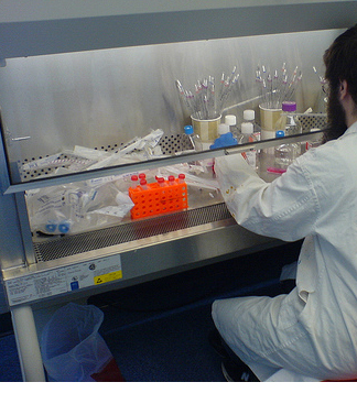 lab