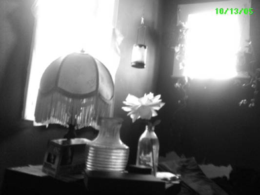Slideshow image